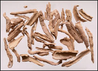 �ع�Ƥͼ��-����������//