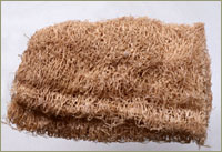 ˿����ͼ��-��ʵ������//