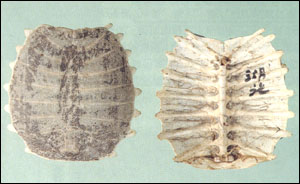 ���ͼ��---������//