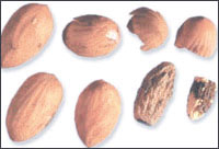 ���ͼ��-��ʵ������//