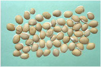 �ױⶹͼ��---��ʵ��//