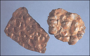 ����ʯͼ��-������//