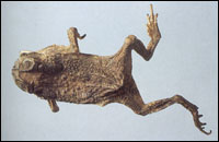 ���ͼ��-������//