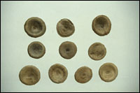 ��Ǯ��ͼ��-��ʵ������//