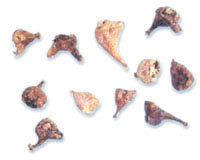 ɽ�ȹ�ͼ��-����������//