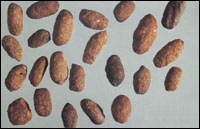 ����֬ͼ��-������//