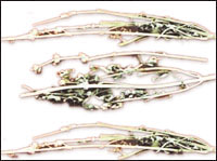 ��ĸ��ͼ��-ȫ����//