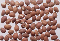 ����ͼ��-��ʵ������//