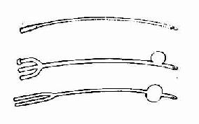 18601.jpg (13830 �ֽ�)