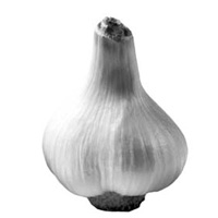 ���˺���������ʳ��