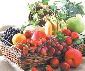 2005���ݵ�ӭ�¼ƻ�//