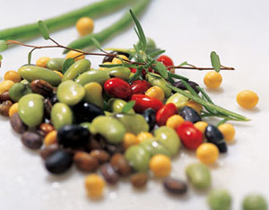 ��������ġ�ҩ�ԡ�//