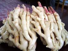 ��������ġ�ҩ�ԡ�//