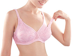 �鷿ȫ��ǻ�����//