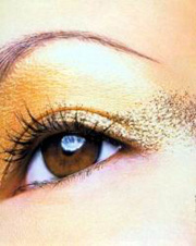 ����Ƥ�����Ǽ�������//