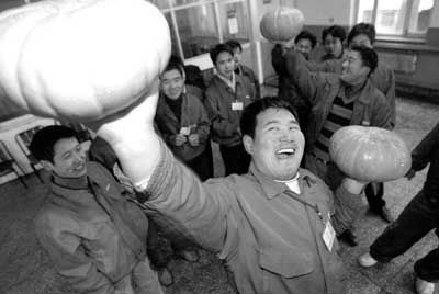 ���Ϲ�������//