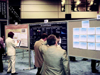 ���๦��������˥���о���չ//