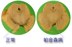  
����ɭ���Ĳ��䲿λ��ͼ��

����ɭ���Ĳ��䲿λ��ͼ��
//