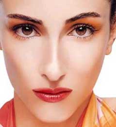 ��ʳ��������С������//