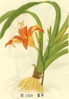 ���/����/��ζ/����/