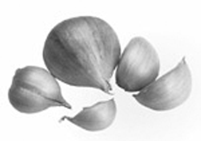 ������ȡ��ɽ��Ͷ���֬���ѻ�//