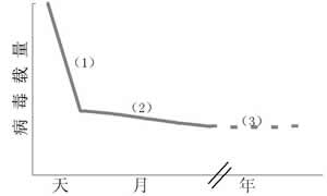 �����Ը��׺͸β����ε�ͻ�Ƽ���չ//