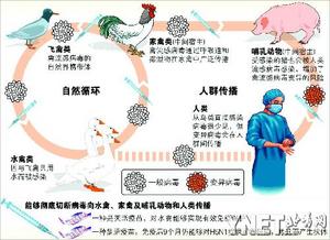  
�ҹ����Ƴɹ��������������� �ѽ��������ຣ

�ҹ����Ƴɹ����������������ѽ��������ຣ
//