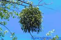 �μ�����ȡ��:���װ������·���//