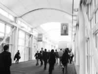 ��50������������˵Ĳ��������о�������͡��ҩ�ｵ�����ٰ�����Σ��//