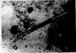 ����ͬ���߳��Ⱦ1������