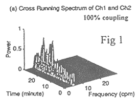 �Ӷർθ��ͼ��¼��θ������ż����˯�߶�θ��ż��������