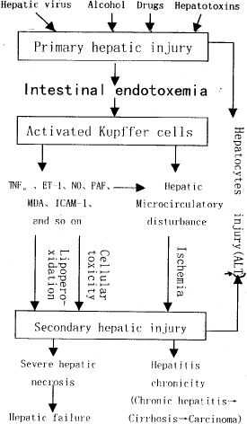 ��Դ���ڶ���Ѫ֢�ڸ������Ի��е�����
