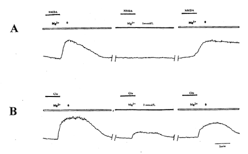 ����ҺþŨ�ȶԲⶨ�Ȱ��������������ϸ���ڸ�Ũ�ȵ�Ӱ��