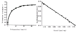 ������������Ca<sub>2+</sub>-ATPase���Լ������ӵ�ת�ˡ�