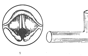 ˫������Ĥ������1/3�г�������˫����չ���