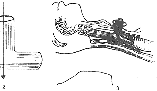 ˫������Ĥ������1/3�г�������˫����չ���