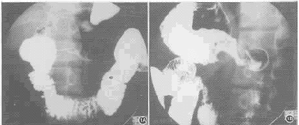 θ������Ȼ�պ�һ��