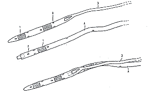 ʳ�ܰ����Ű�����Ӧ��θ��ѹ��Ӫ����ϵ��ܵ����