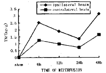 TNF-���ڴ�����ʱ�Ծ�������ȱѪ�����еı仯