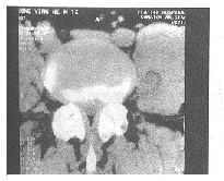 ��׵��������������Ϻ�����9������