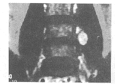 ��׵��������������Ϻ�����9������