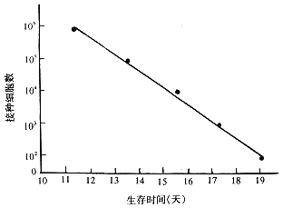 ����ֲ��BALB/cС����Ѫ��ģ�͵Ľ�����������ѧ����