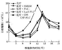 ƢֲGM-CSFС̥ϸԻѪ˵Ĵٻָ