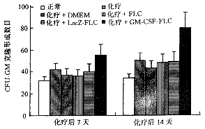 ƢֲGM-CSFС̥ϸԻѪ˵Ĵٻָ