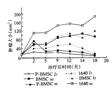 �������ϸ���԰�Ѫ��ϸ����ֱ���������ü������̽��