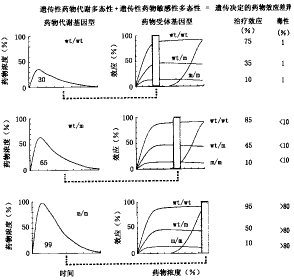 �����̬�����ٴ�������ҩ