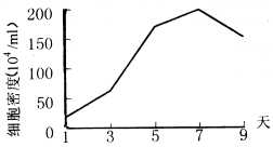 Cytodex-3 ΢ܶ˸ϸϵCL-5