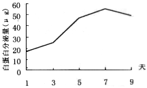 Cytodex-3 ΢ܶ˸ϸϵCL-5