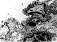 5-������श��ðж����ڵ�Ӱ��