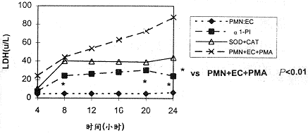 ���κ���ϸ������鵼��Ƥϸ�����˵Ļ���
